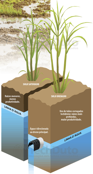 Esquema do benefício da drenagem agrícola