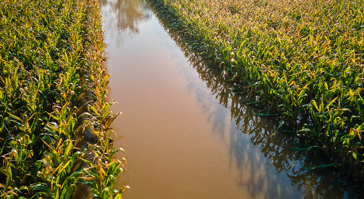 Drenagem do solo na agricultura