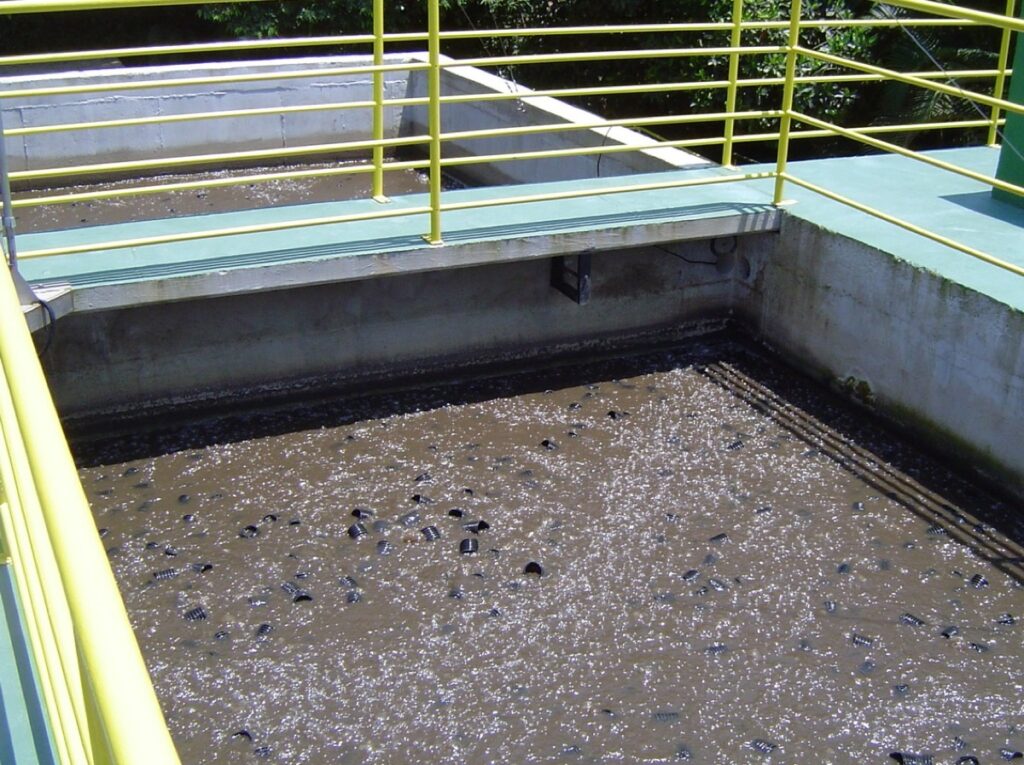 TechBIO vista 4